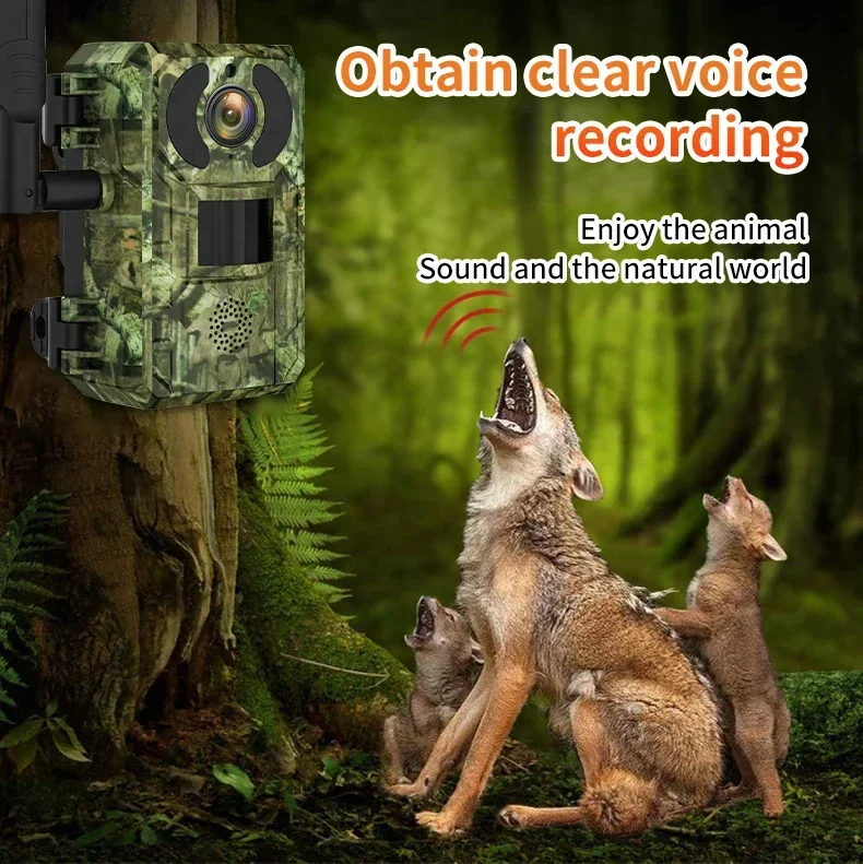 Camara foto-videotrampeo autonoma