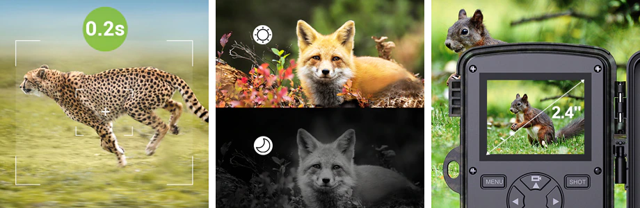 Camara foto-videotrampeo autonoma 1080 p. nocturna y diurna