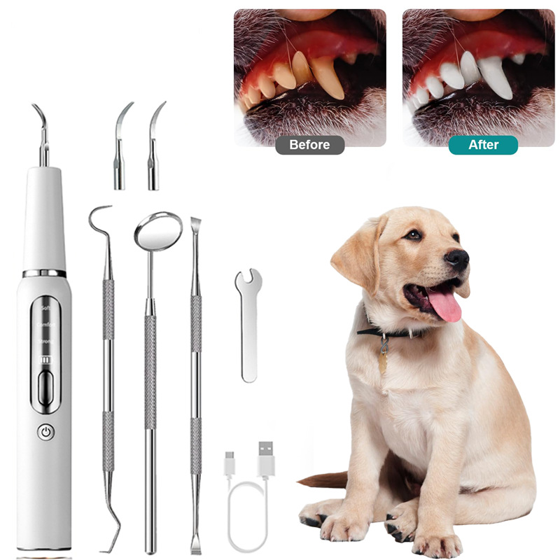 Instrumento Periodontal Ultrasónico Veterinario. Limpiador eléctrico profesional de placa dental ( ultrasonic stain and tartar remover )