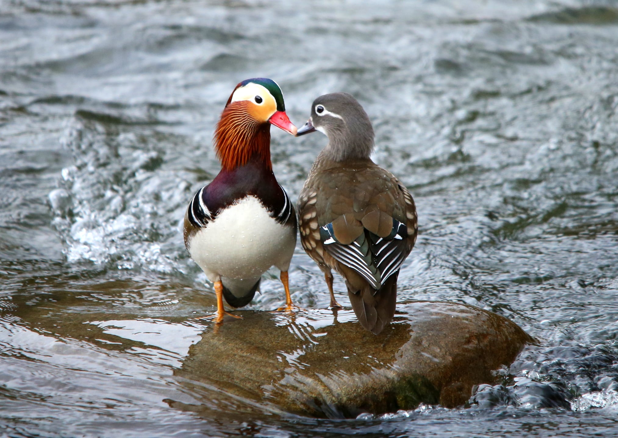 Fvi-adaptador WIFI 6 AX286, tarjeta de red Mini USB Dongle 2,4 GHz 802.11AX, recepción de señal para PC, portátil, Windows 10/11,