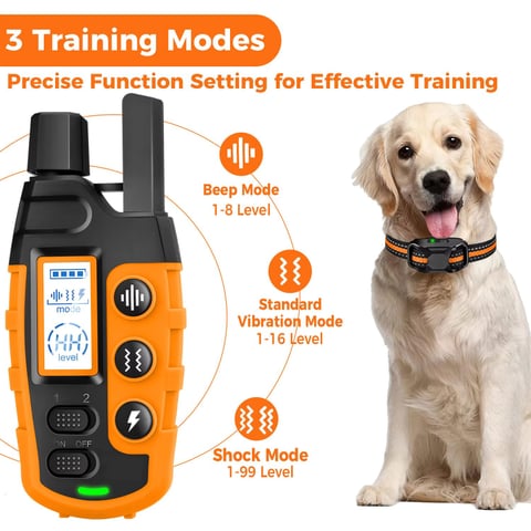 Collar de entrenamiento para Perros
