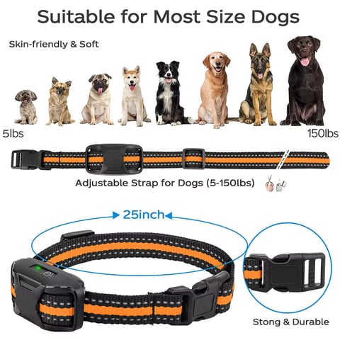 Collar de entrenamiento para Perros