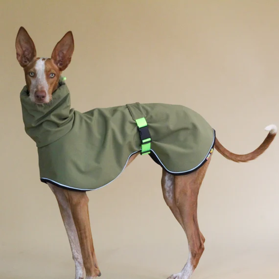 Abrigo de invierno para Perros, Pijamas, ropa elástica para Galgos, 