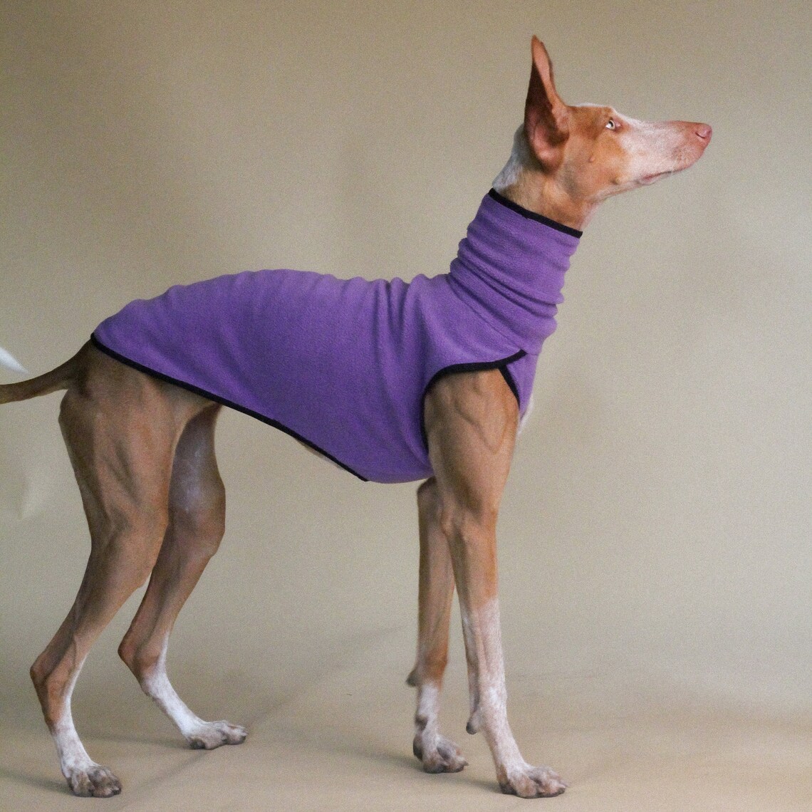 Abrigo de invierno para Perros, Pijamas, ropa elástica para Galgos, 