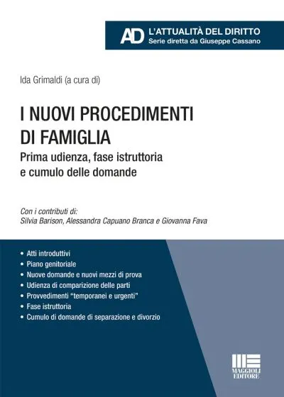 I nuovi procedimenti di famiglia