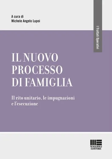 Il nuovo processo di famiglia