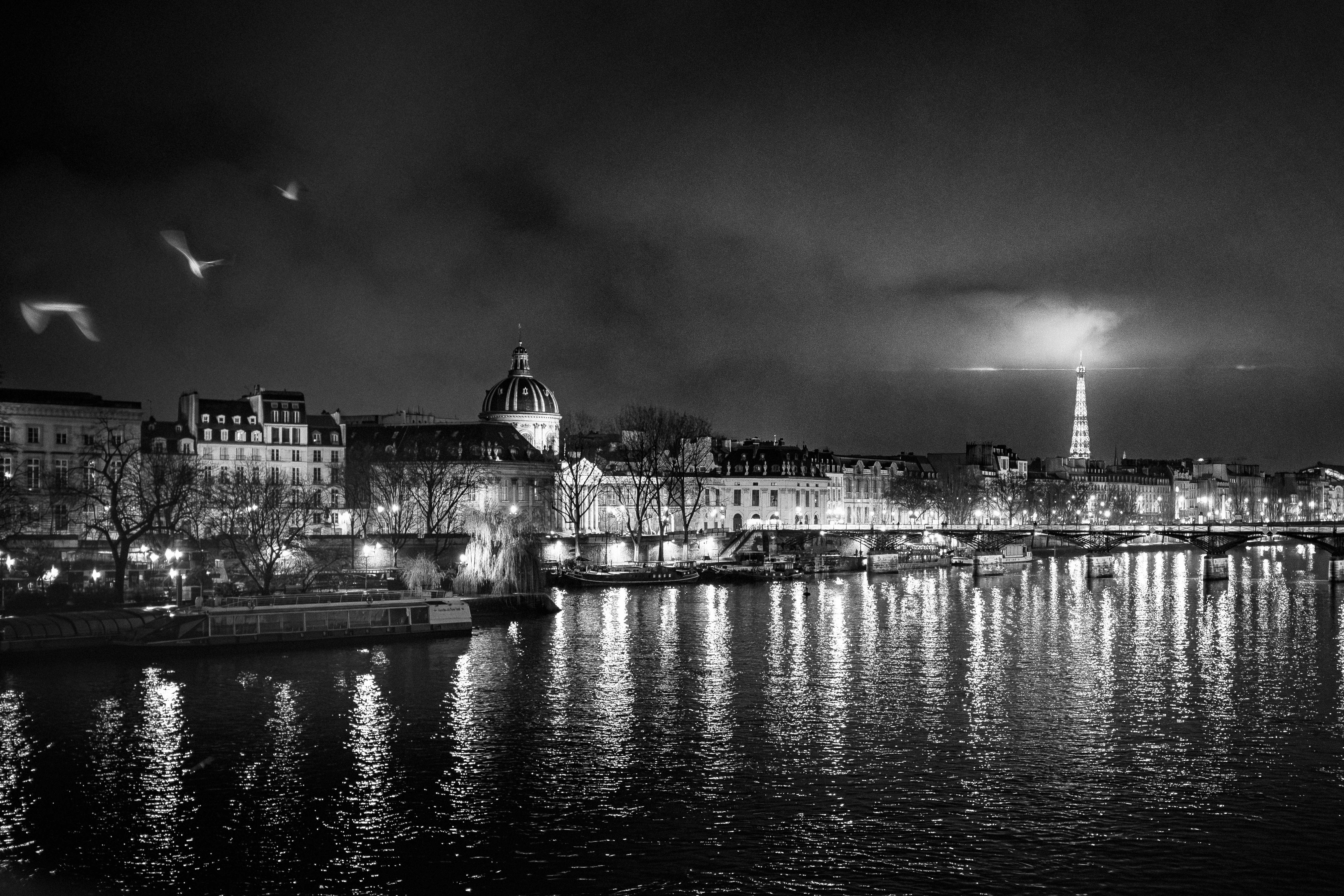 The Eiffel Tower & Startled Birds Limited Edition Print (30.5cm x 45.7cm)