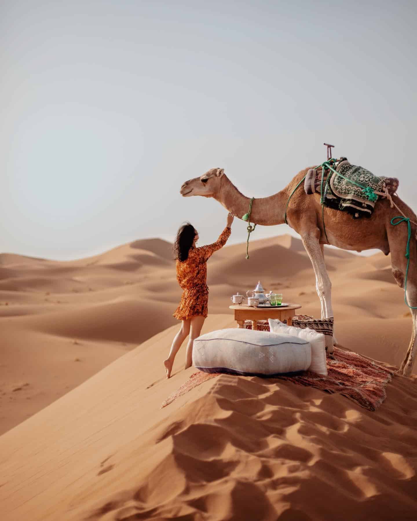 Marrakech to Erg Chigaga & Draa Valley – 4‑Day Desert Tour