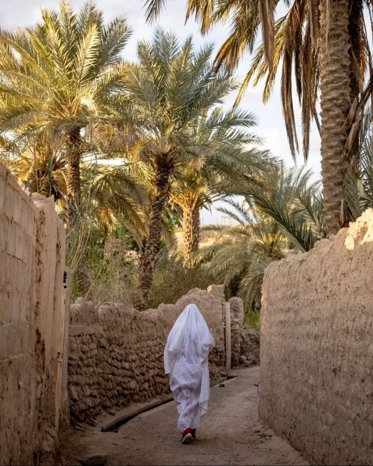 Book a Local Guide in Zagora | Discover old Medina, Souks & Oasis 