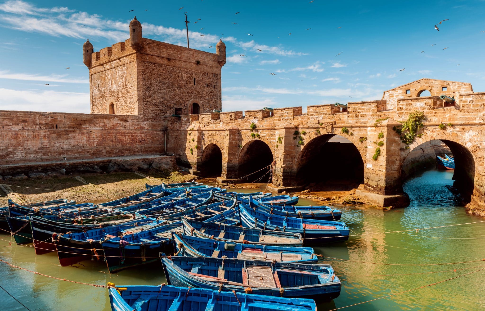 Day Trip from Marrakech to Essaouira – Explore Mogador