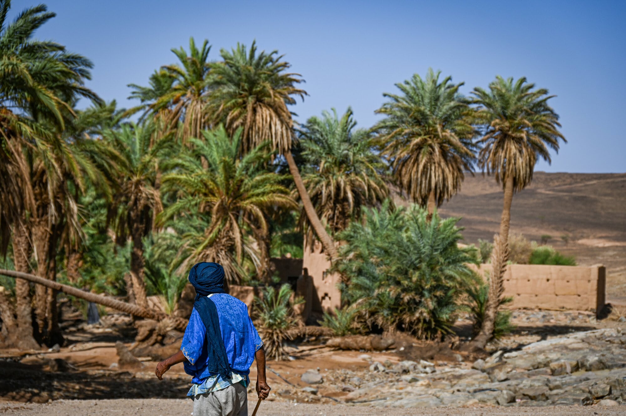 Book a Local Guide in Zagora | Discover old Medina, Souks & Oasis 