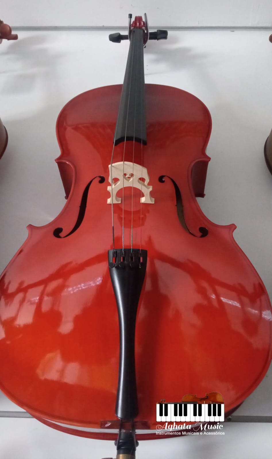 Violoncelo 4/4 alto brilho
