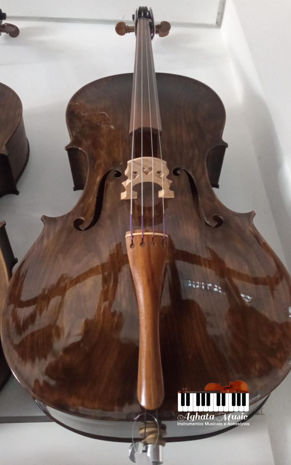 Violoncelo 4/4 Envelhecido Artesanal Alto Brilho
