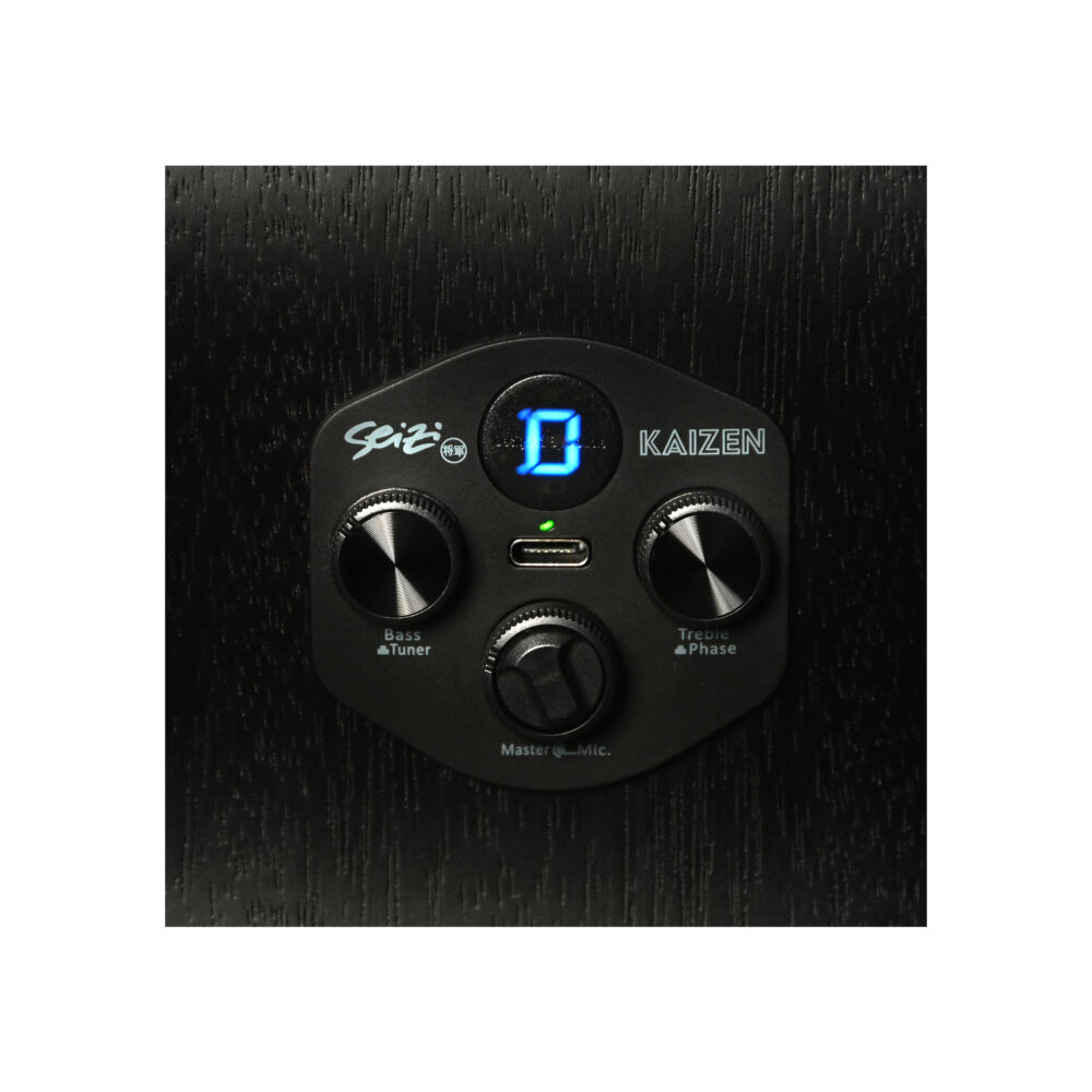 Baixolão Seizi Raiden Kaizen – Open Pore Black Com Bag