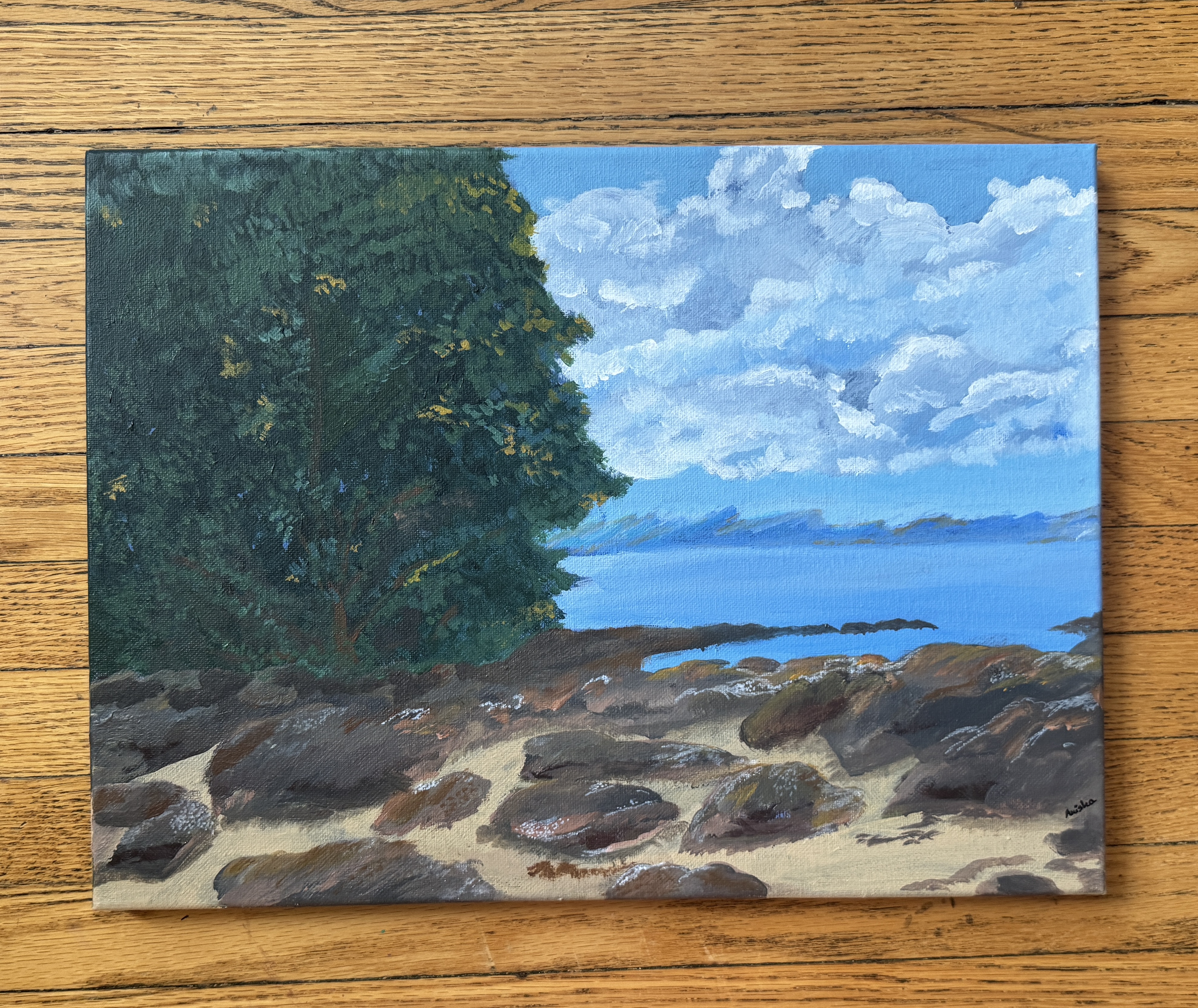 Coastal Landscape in British Colombia Acrylic Painting