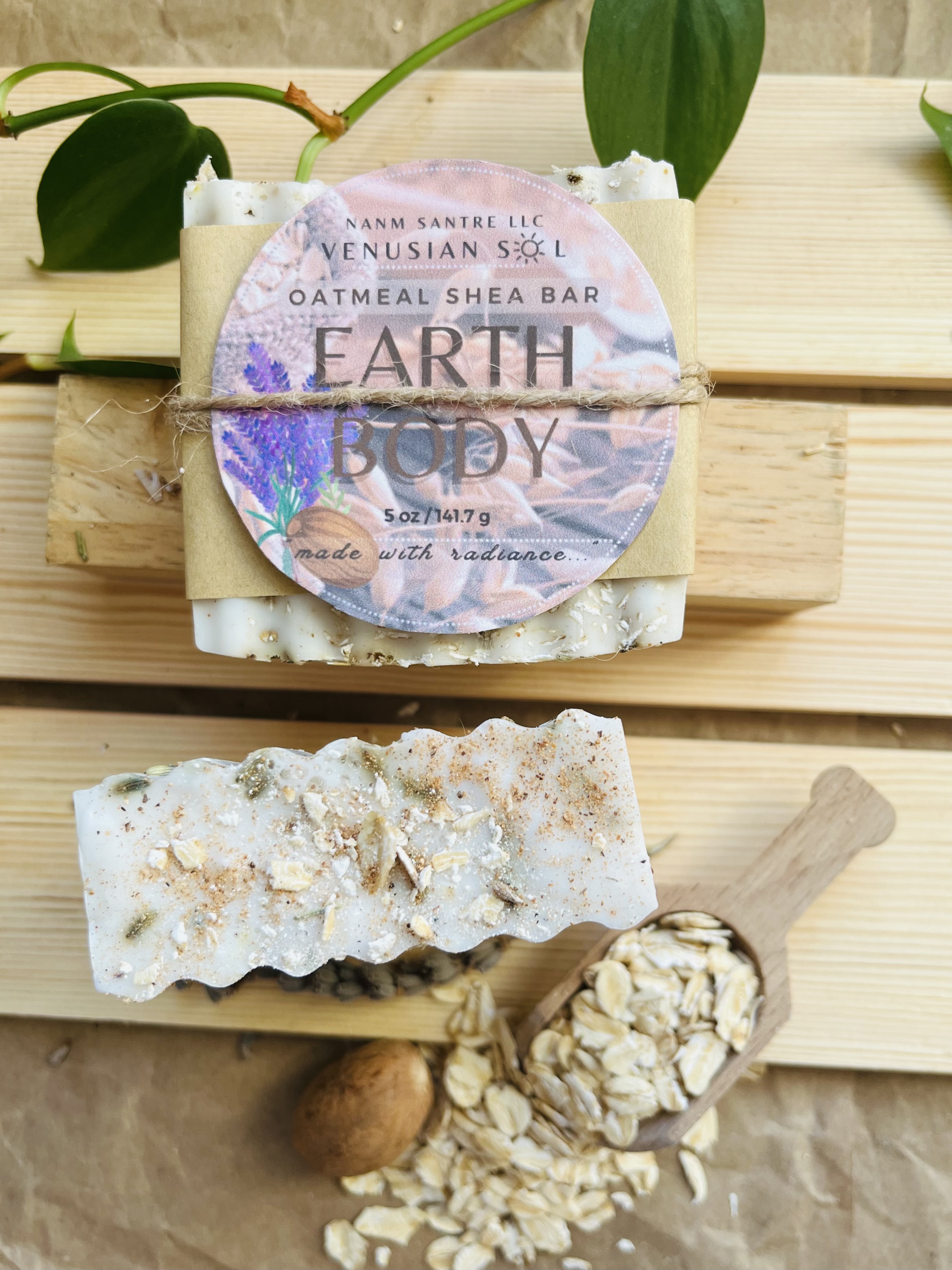 EARTH BODY