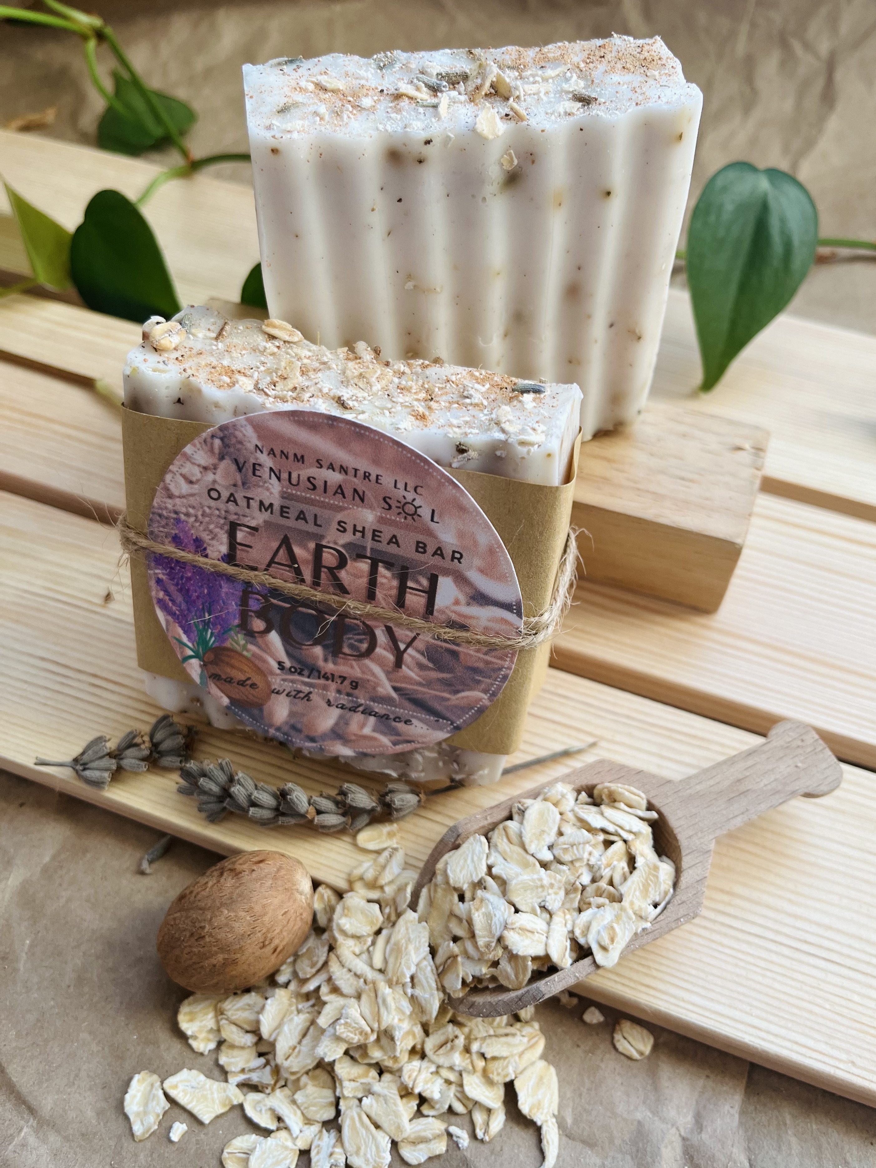 EARTH BODY
