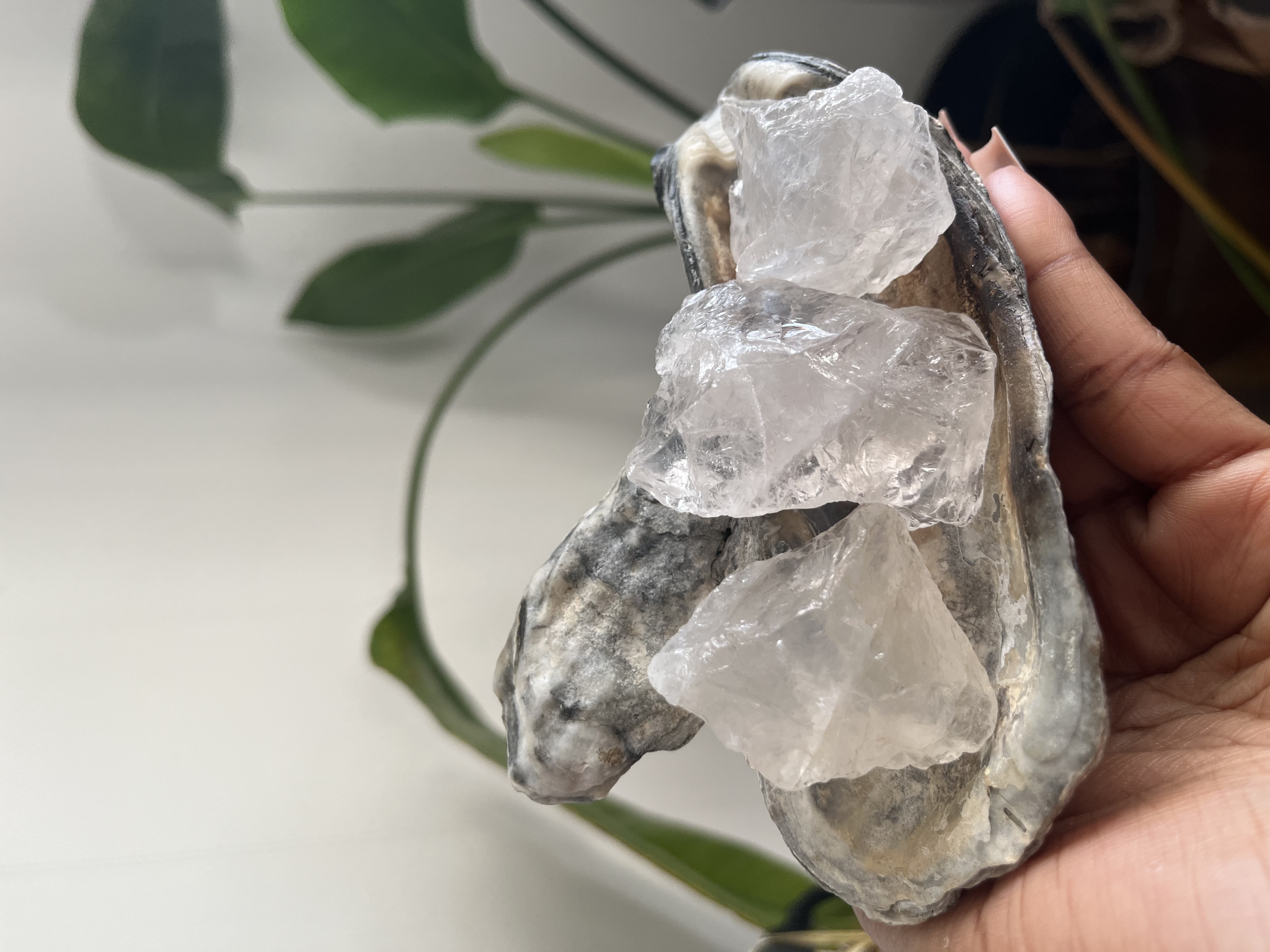 Clear Quartz Crystal