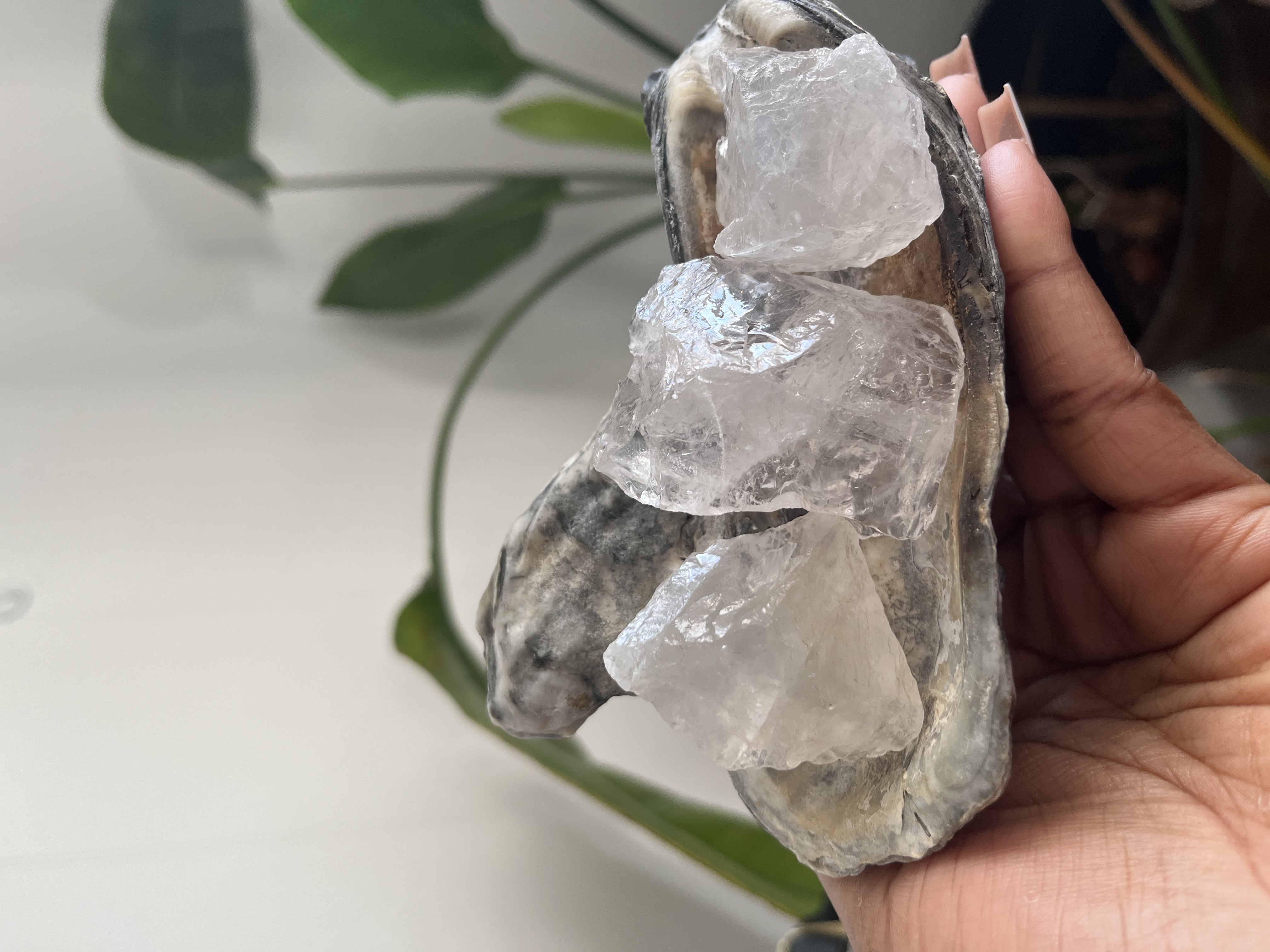 Clear Quartz Crystal