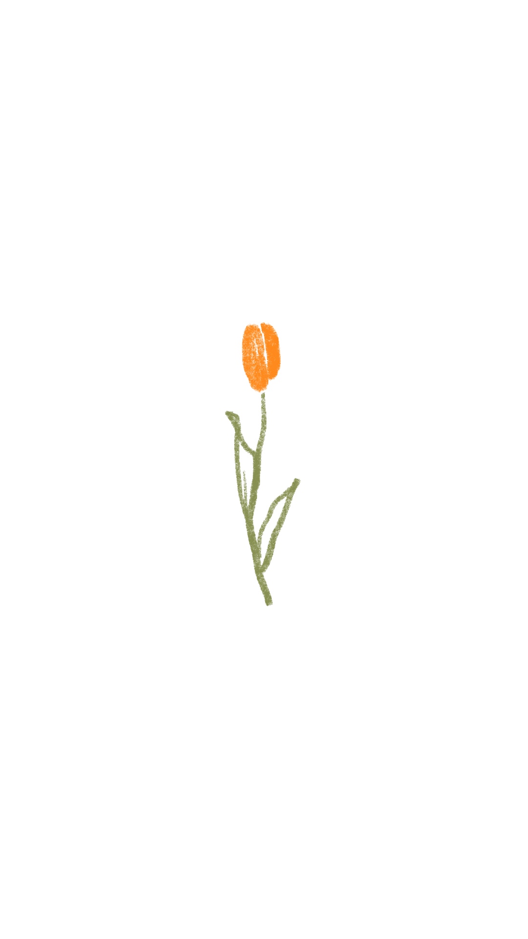 Tulip I