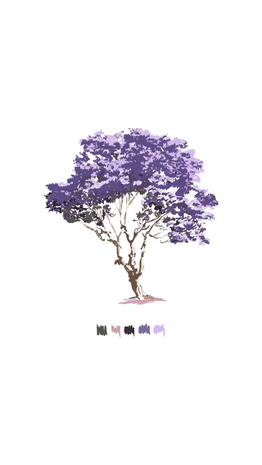 Jacarandá