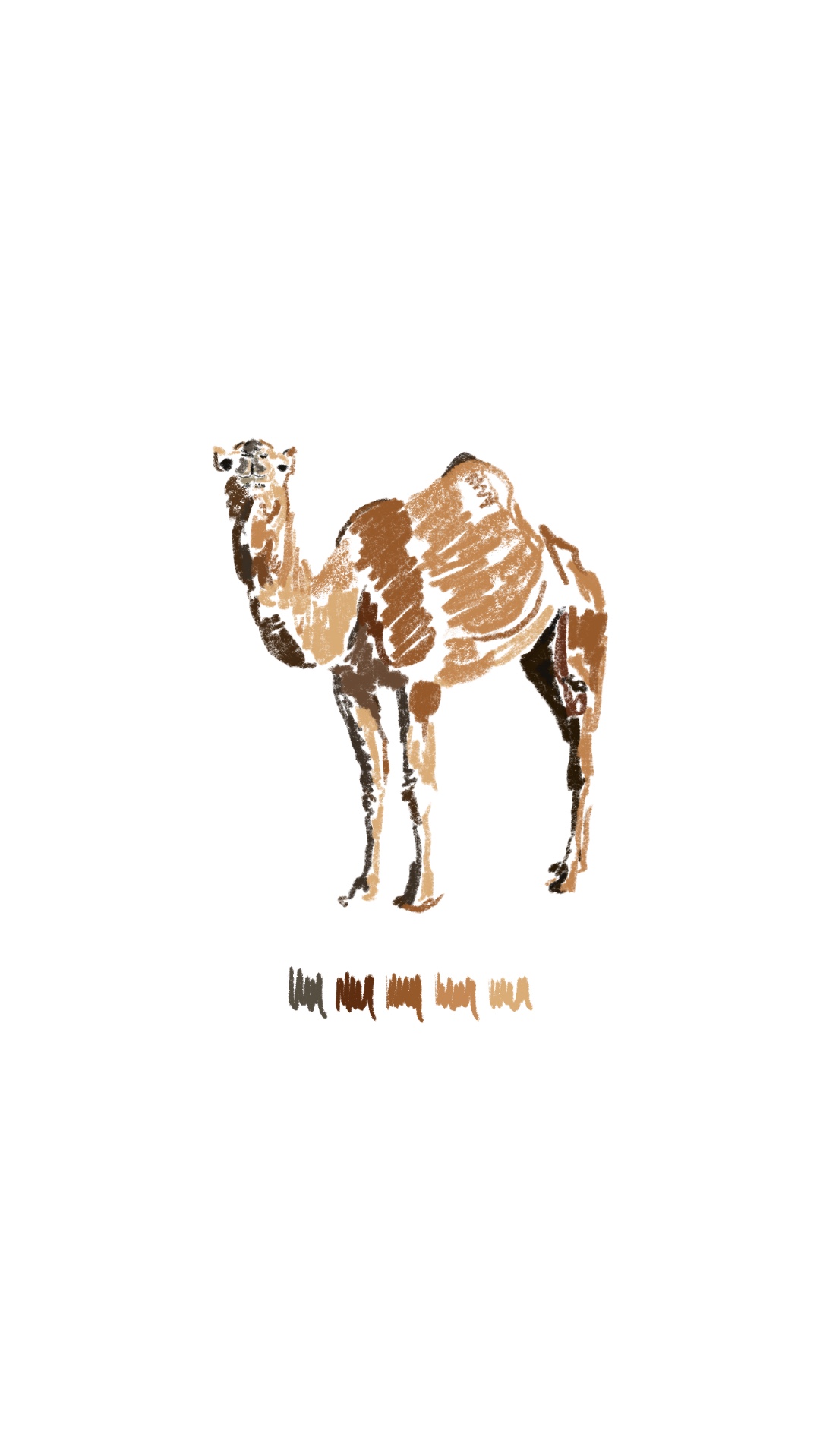 Camel
