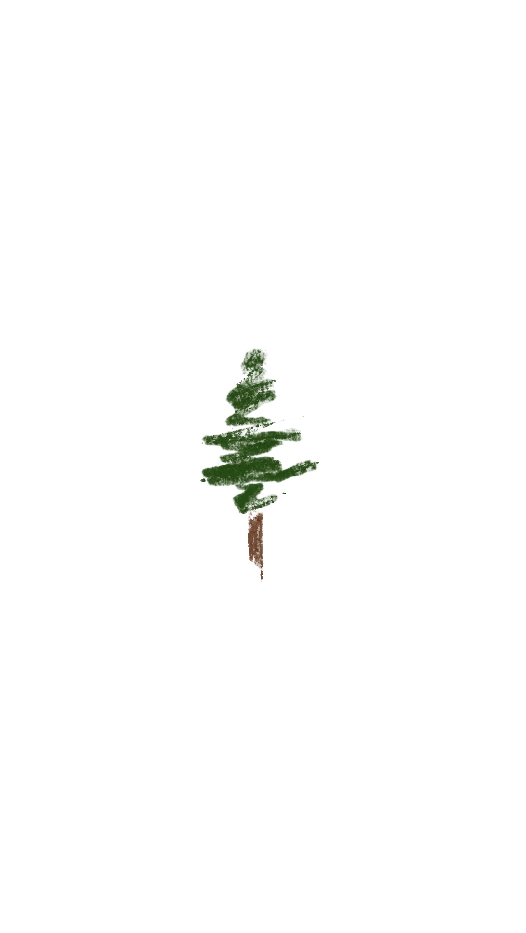 Pine tree