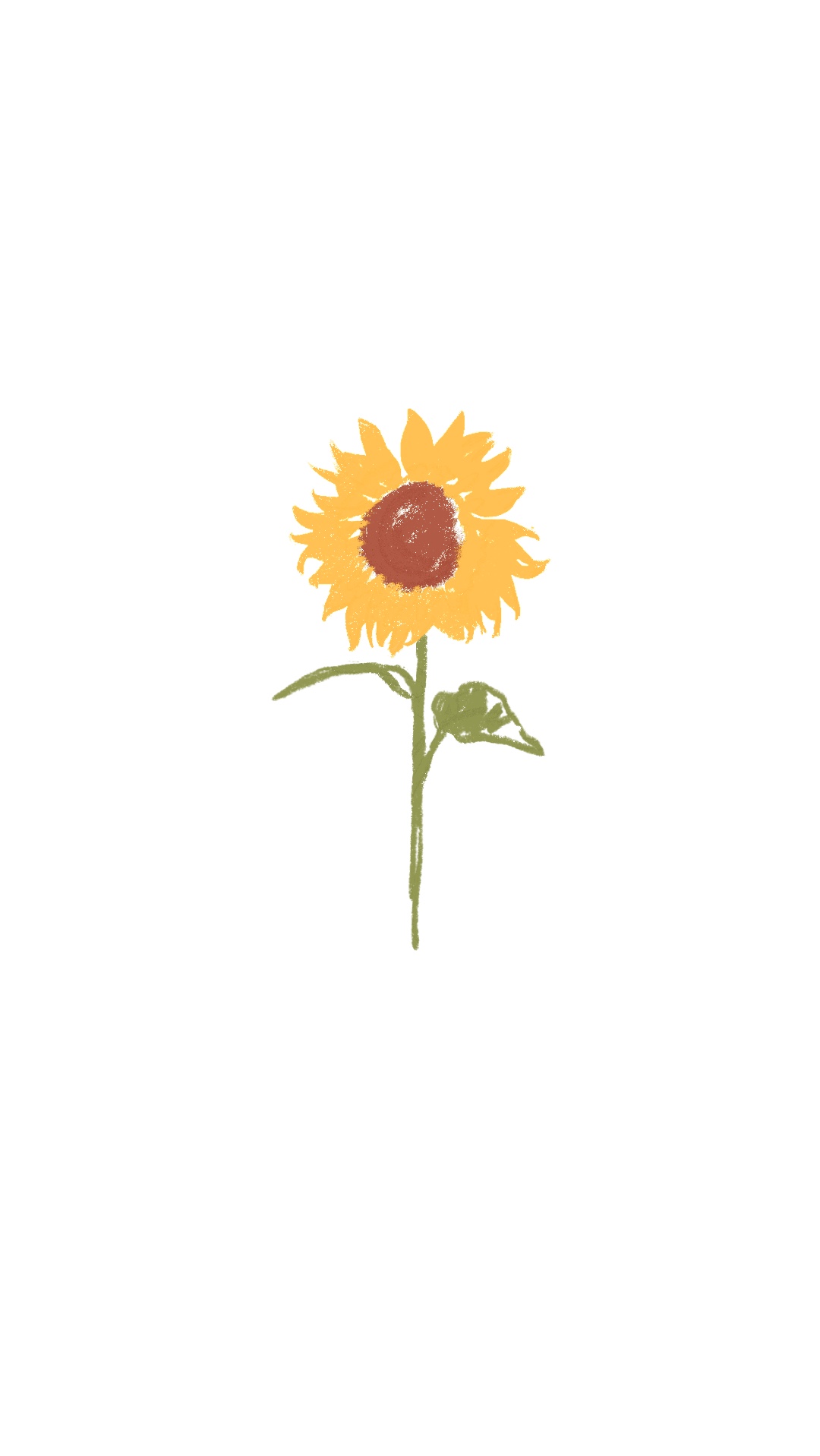Sunflower (3-5 cm)