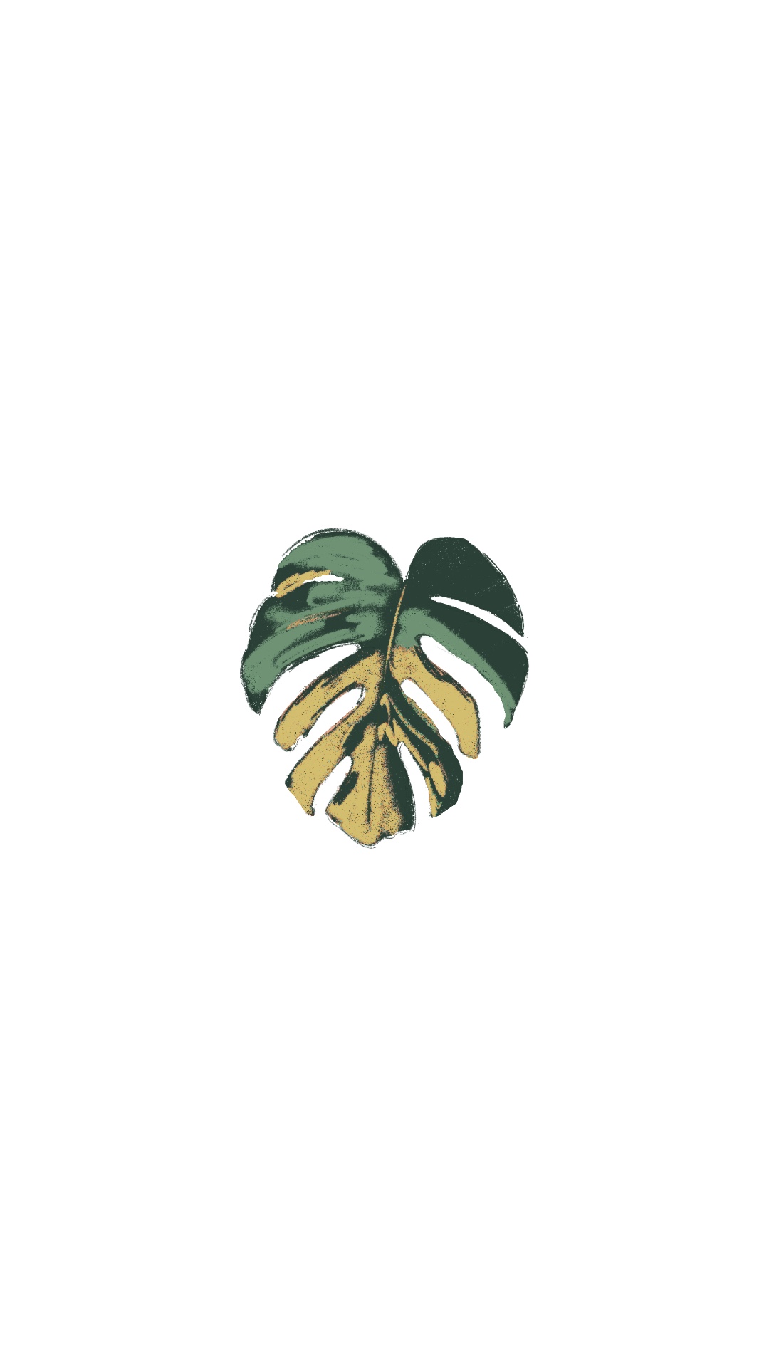 Monstera