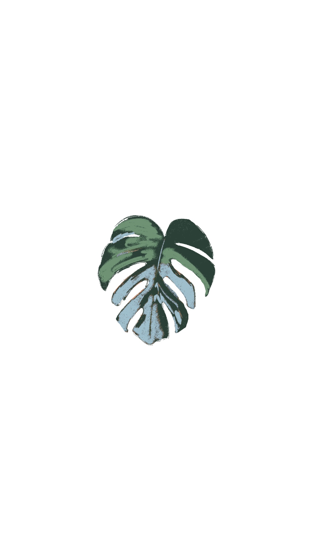 Monstera