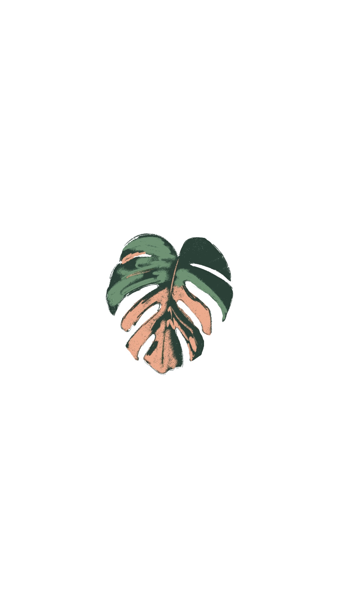 Monstera