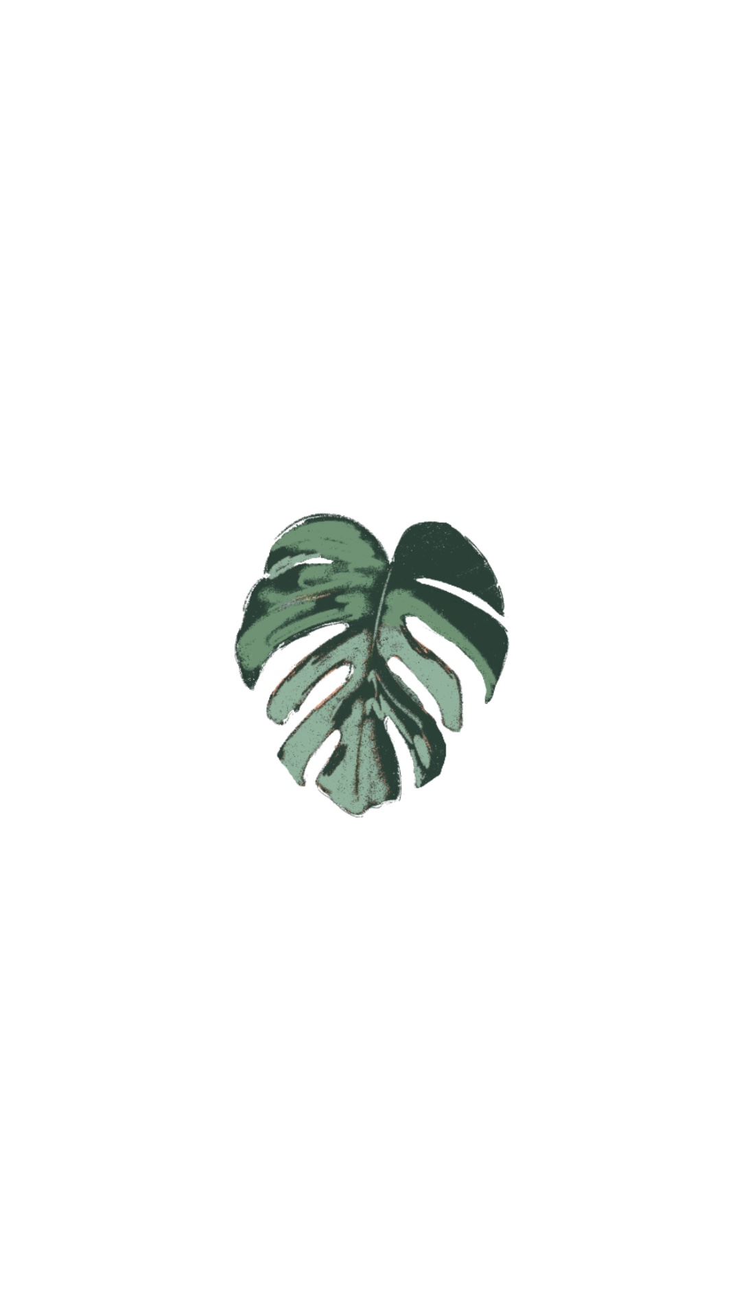 Monstera