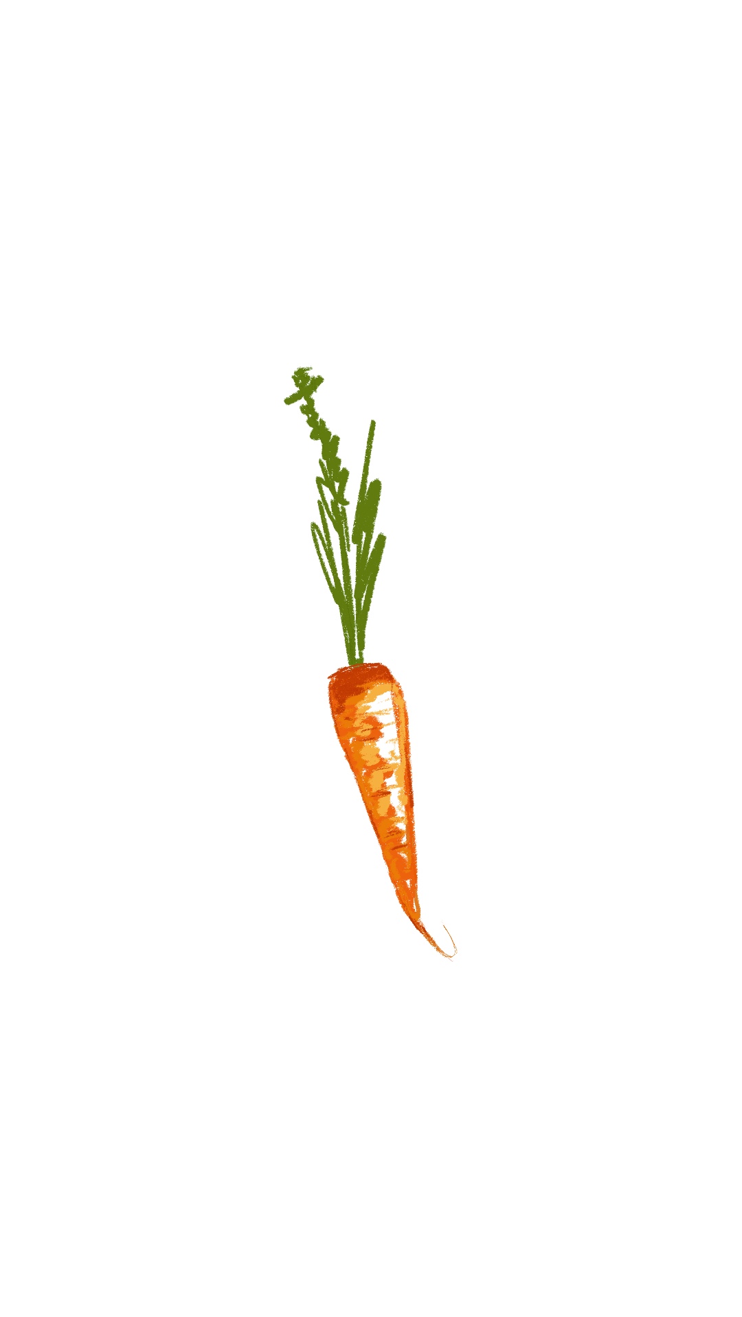 Carrot