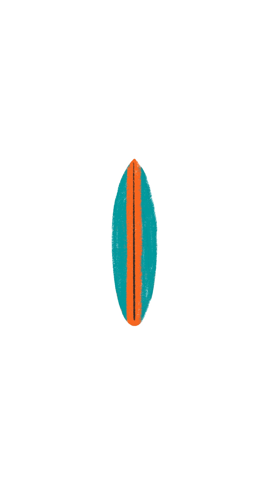 Surfboard - Pick your favourite!