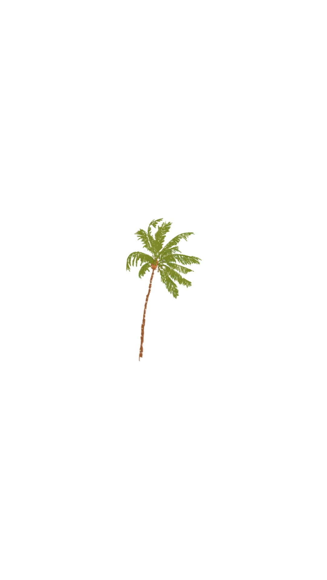 Palm tree
