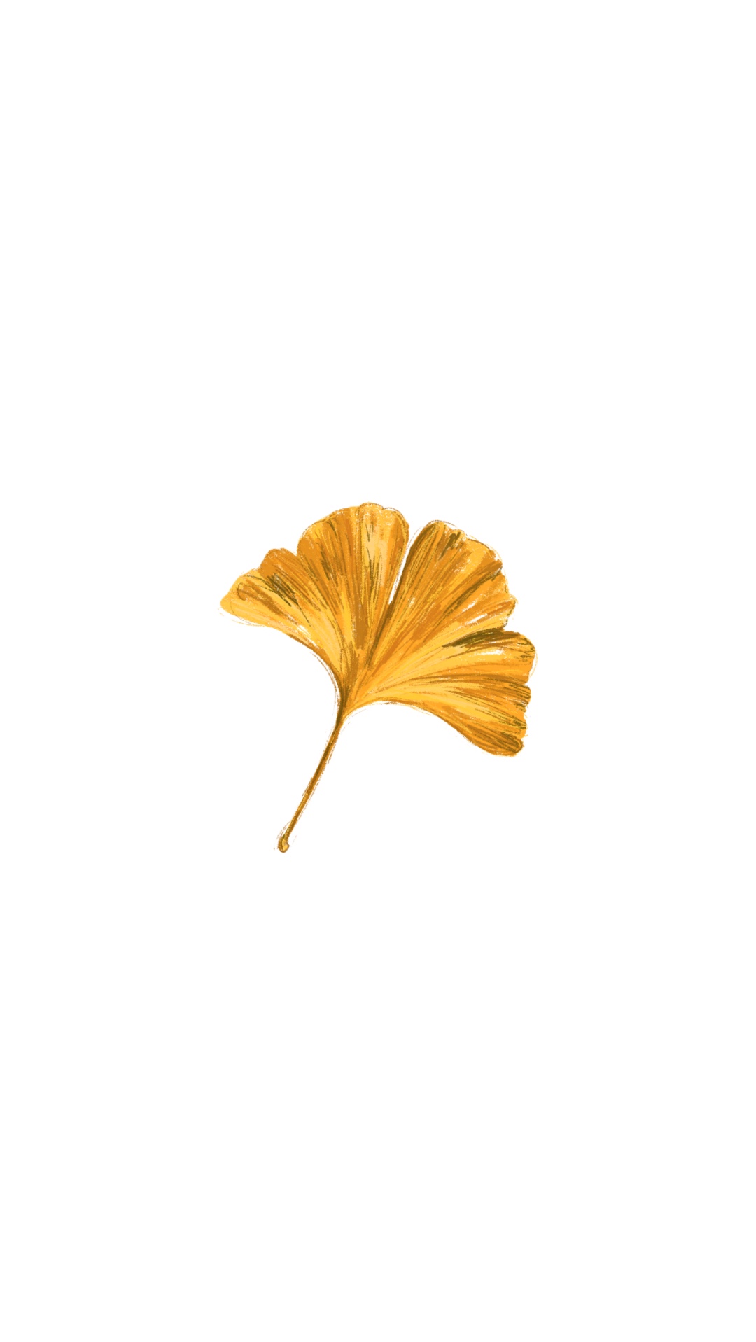 Gingko Leaf