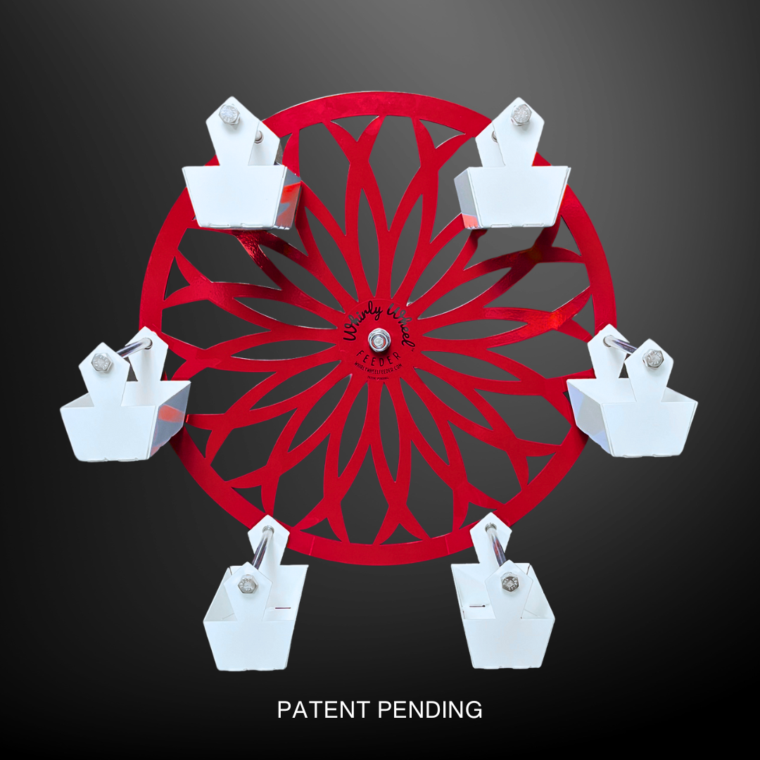 Choose Your Wheel Color!