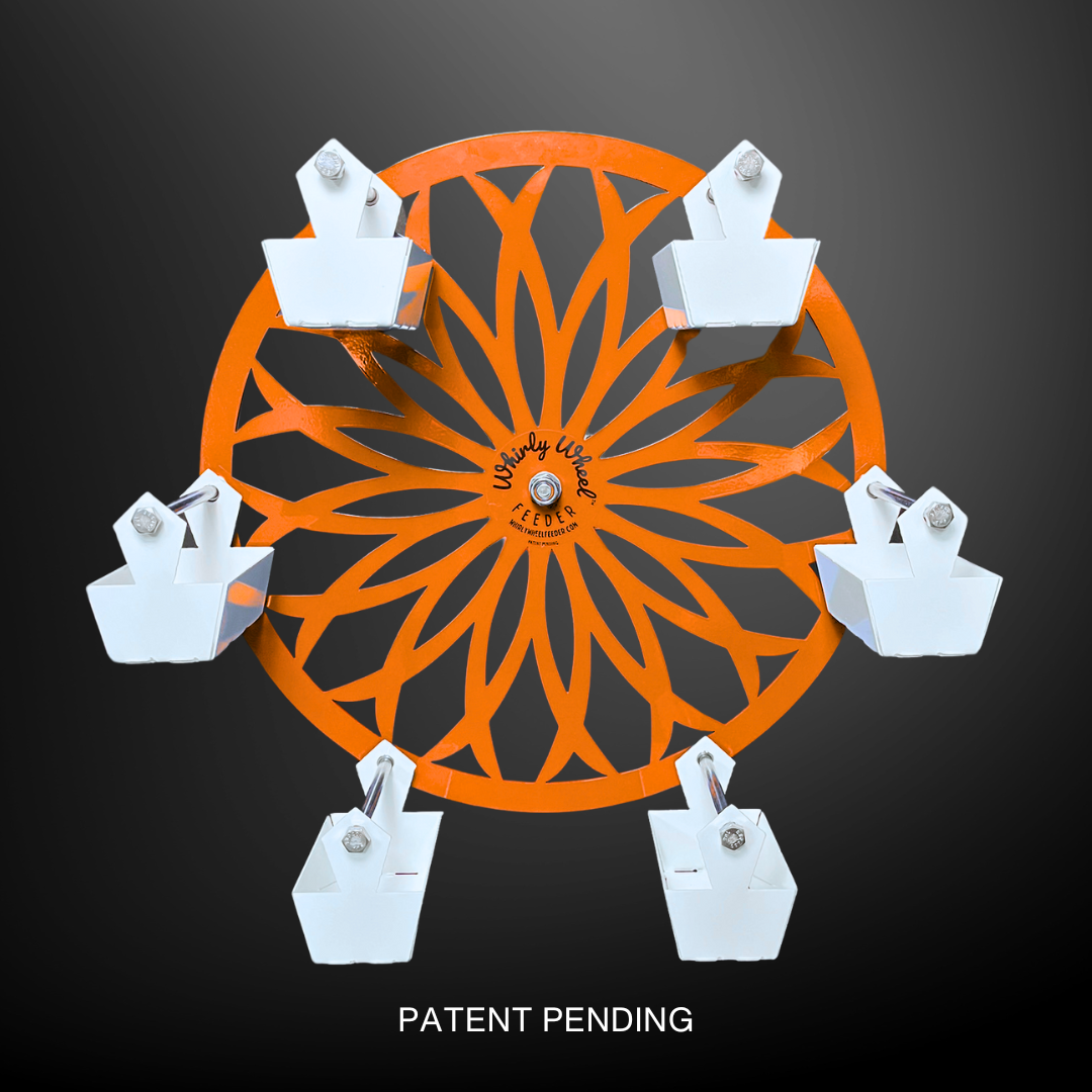 Choose Your Wheel Color! 