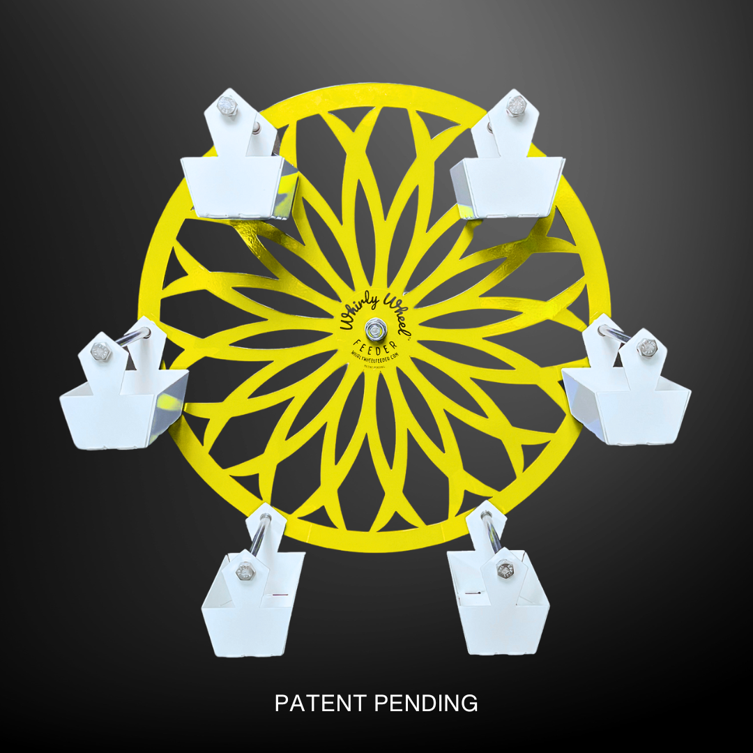 Choose Your Wheel Color! 