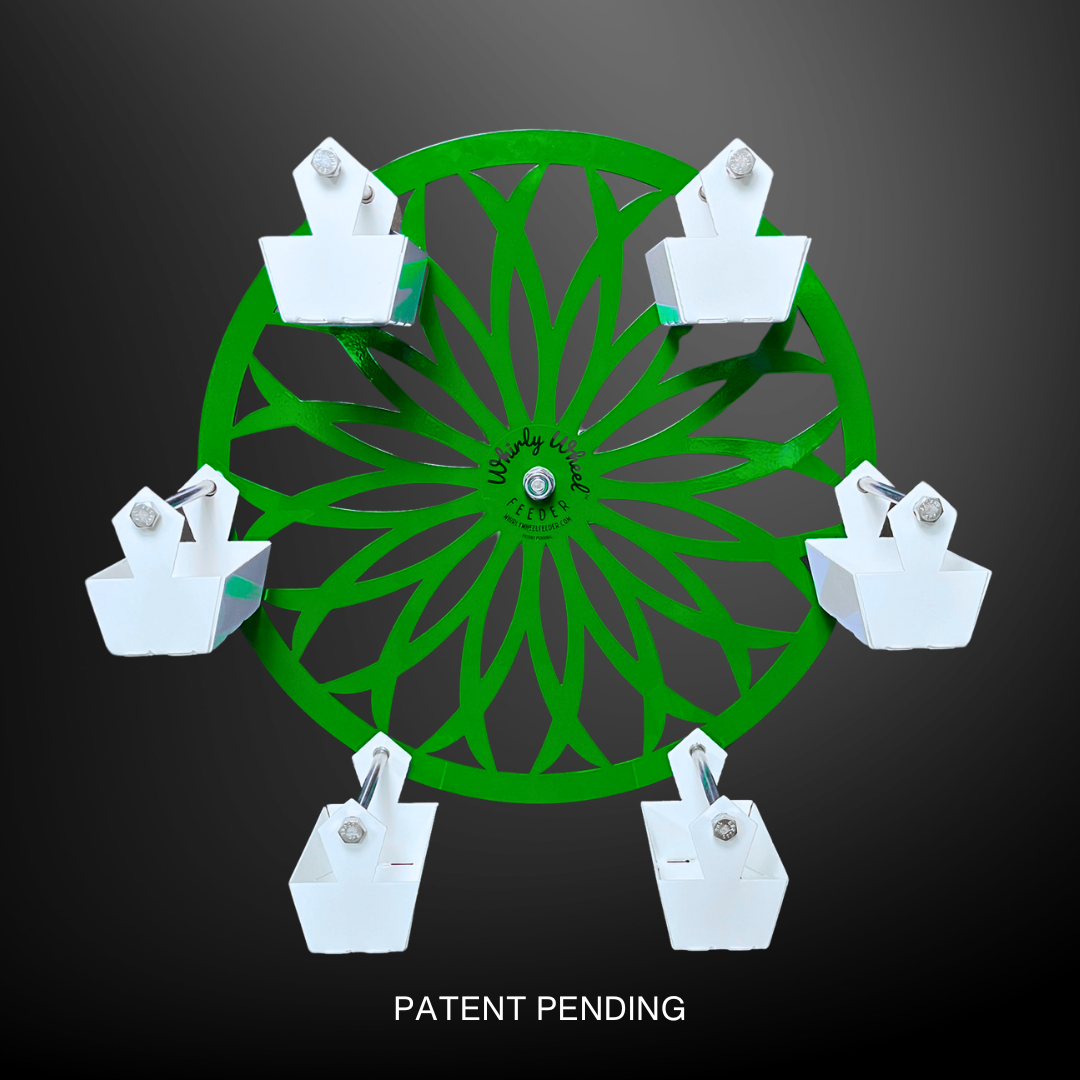 Choose Your Wheel Color! 