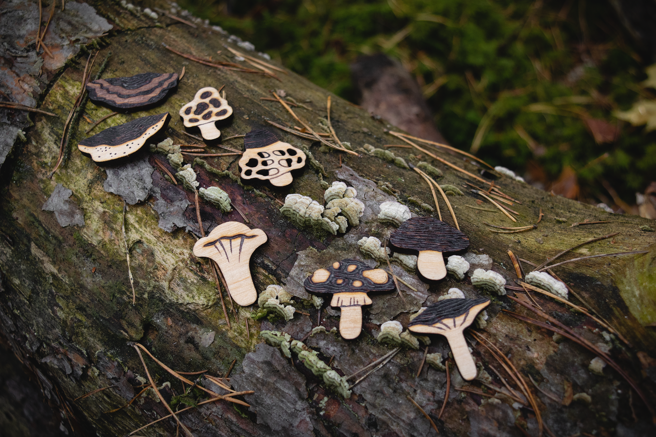 Wooden Mushrooms (Magnets / Pins)