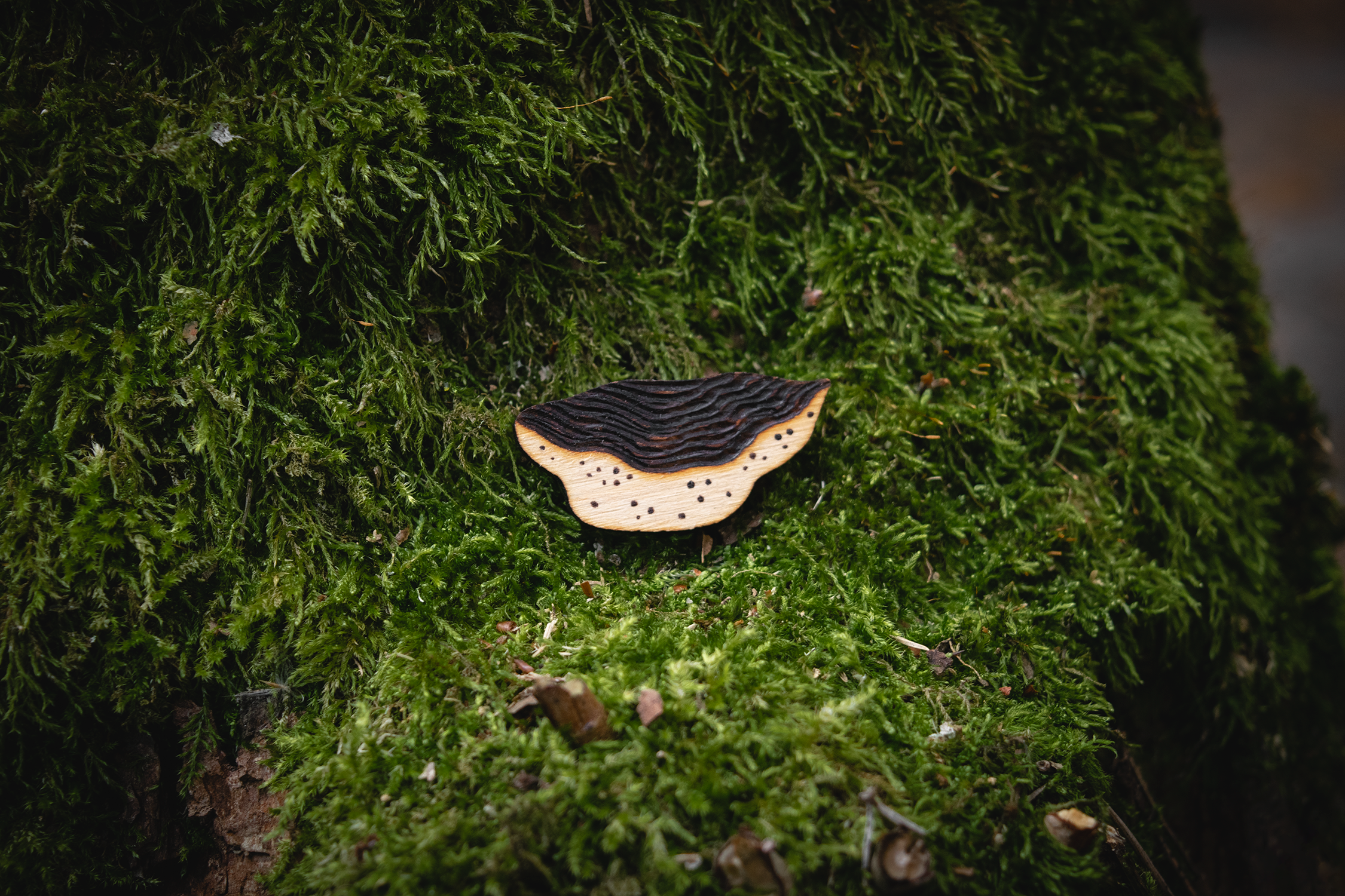 Wooden Mushrooms (Magnets / Pins)