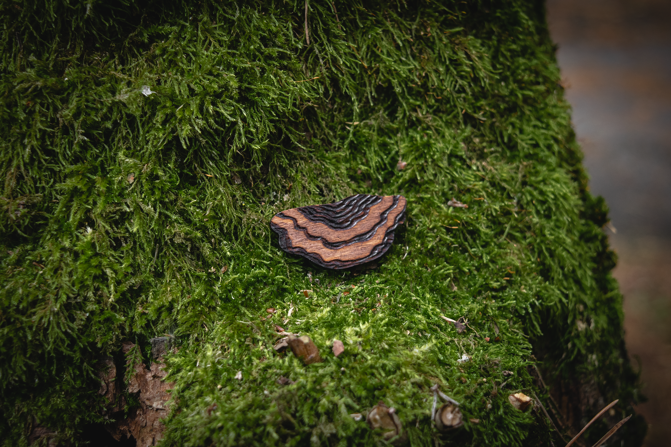 Wooden Mushrooms (Magnets / Pins)