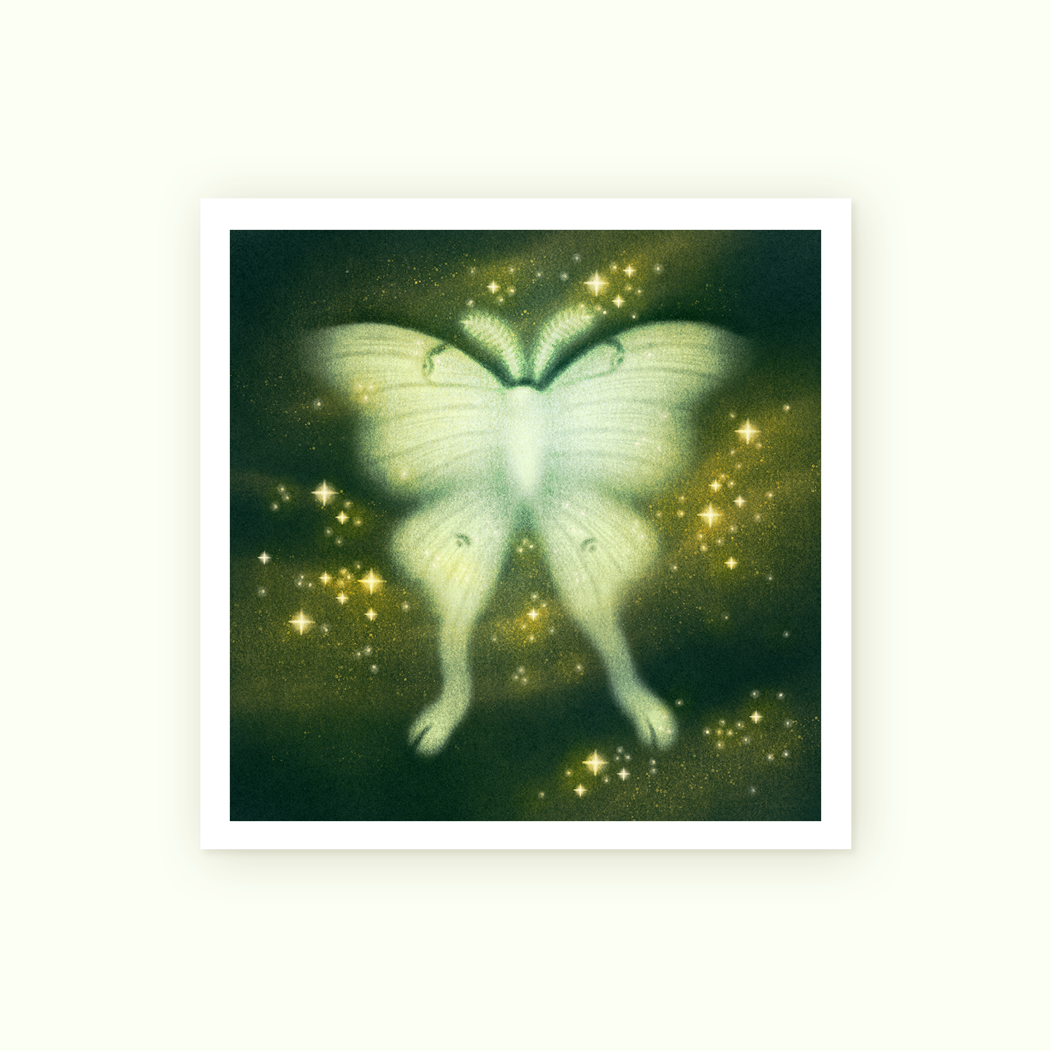 Delicate Pollinator