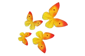 Dekoracija vafliniai drugeliai