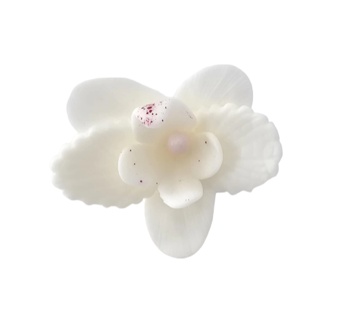 Dekoracija gėlė Orchidėja balta spalva iš modeliavimo masės (5vnt)