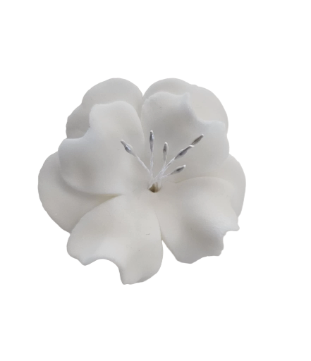 Dekoracija gėlė Magnolija balta spalva iš modeliavimo masės (5vnt)