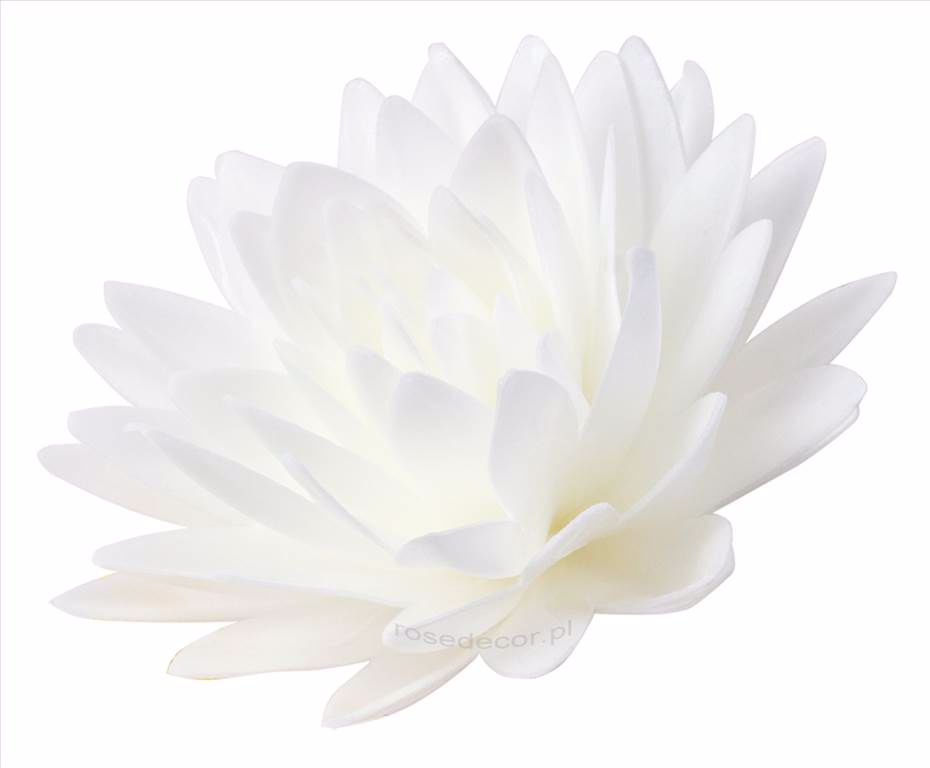 Gėlė vaflinė Astra balta spalva (18vnt. pakuotėje)
