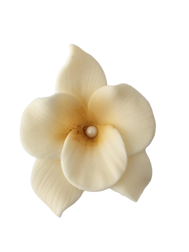 Dekoracija gėlė Orchidėja Ecru ( smėlio) spalva iš modeliavimo masės (5vnt)