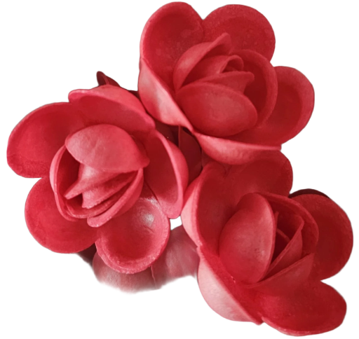 Gėlė Klasikinė rožė 